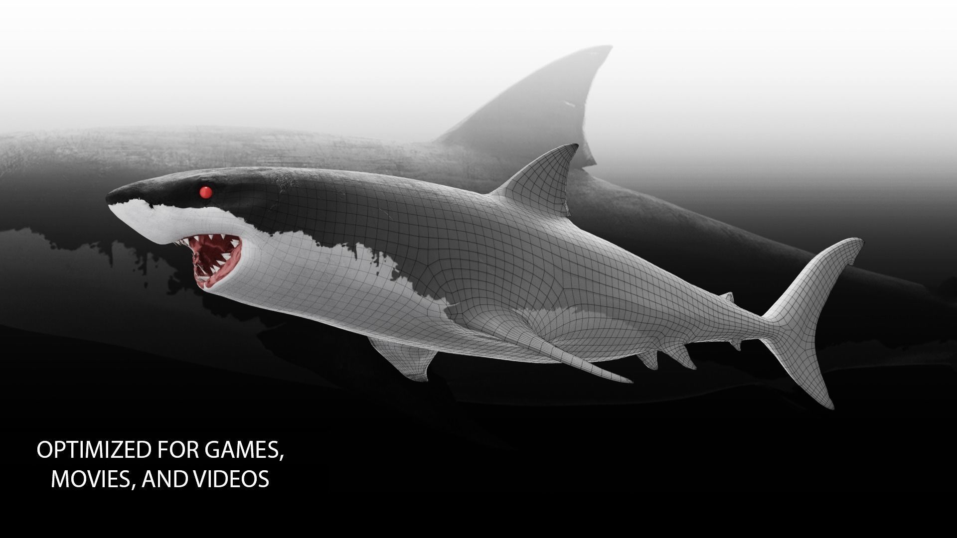 Realistic Animated Great White Shark Low-poly 3D model_9