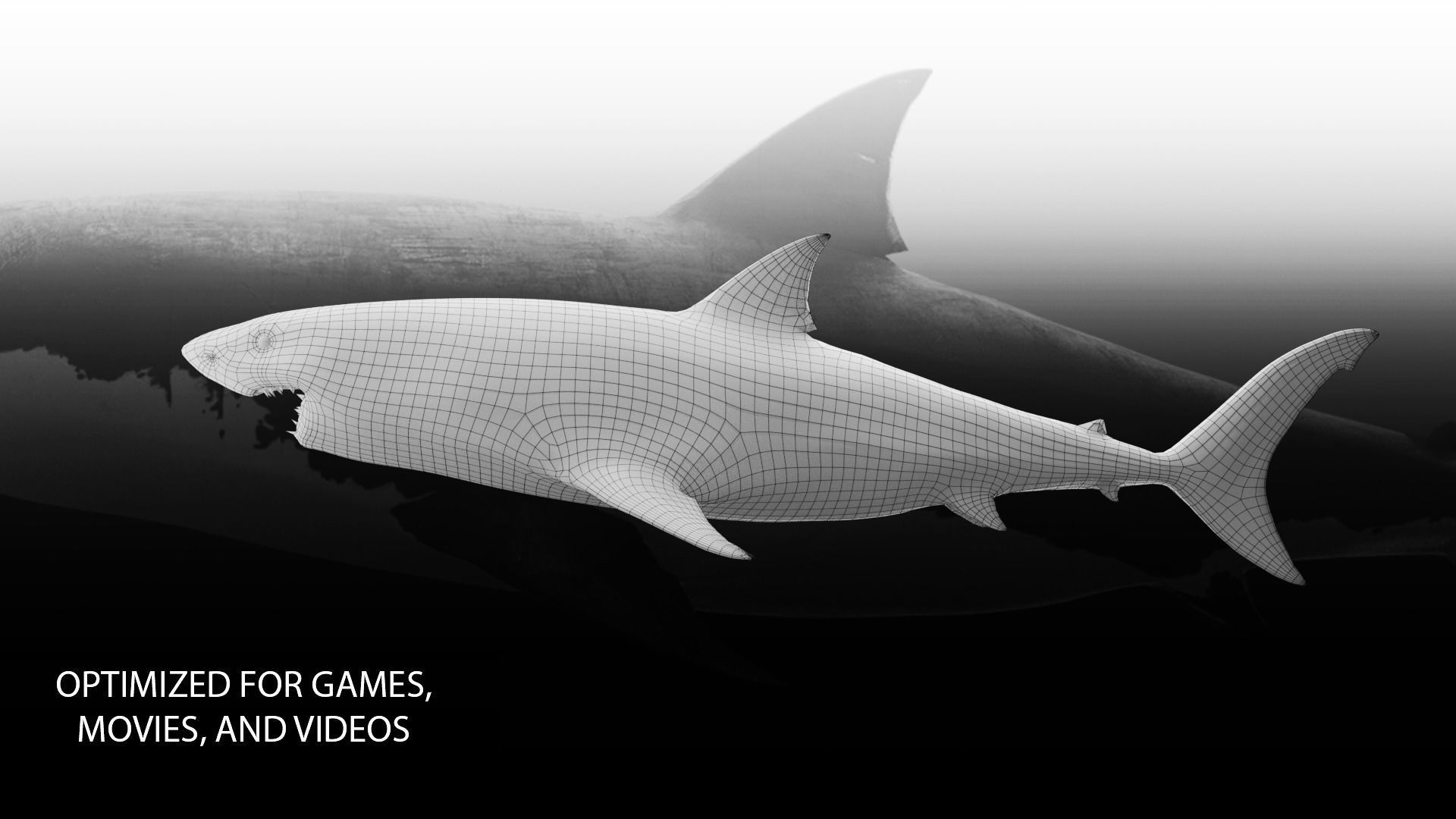 Realistic Animated Great White Shark Low-poly 3D model_8