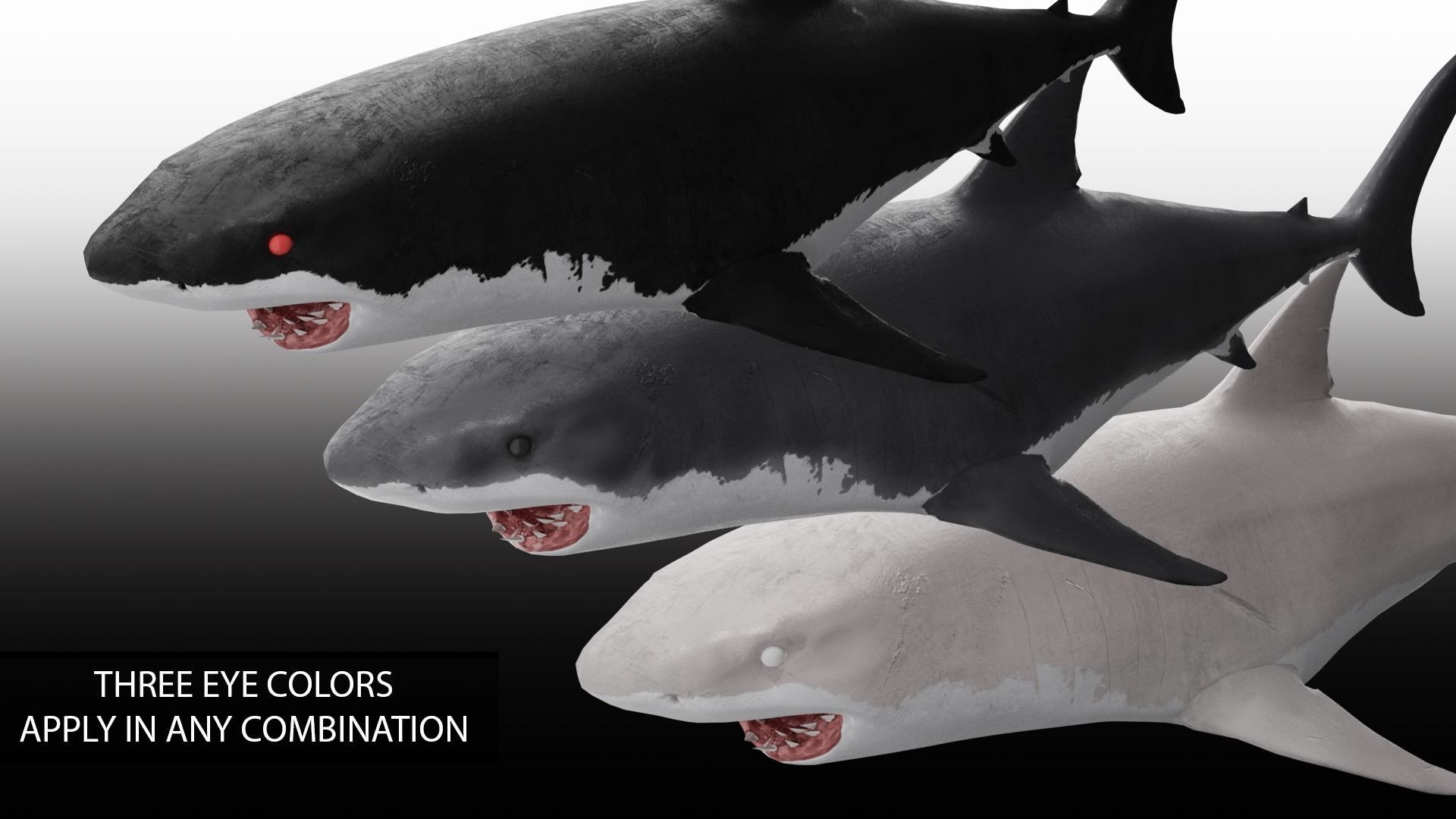 Realistic Animated Great White Shark Low-poly 3D model_6