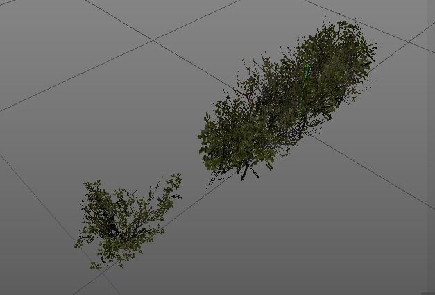 Garden Bush 3D model_1