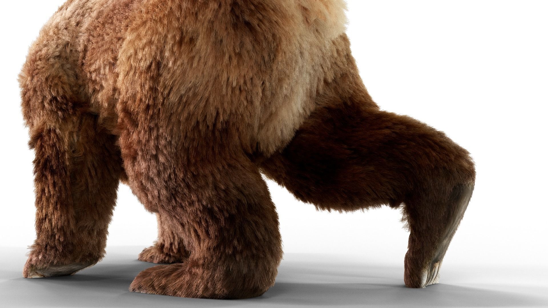 Brown Bear Fur Animated  Low-poly 3D model_6