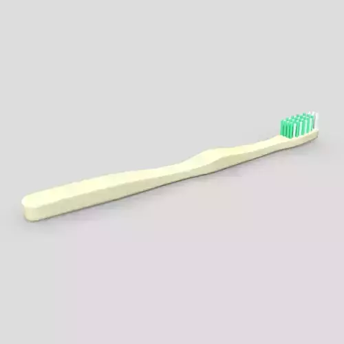 Toothbrush 2 with bristles