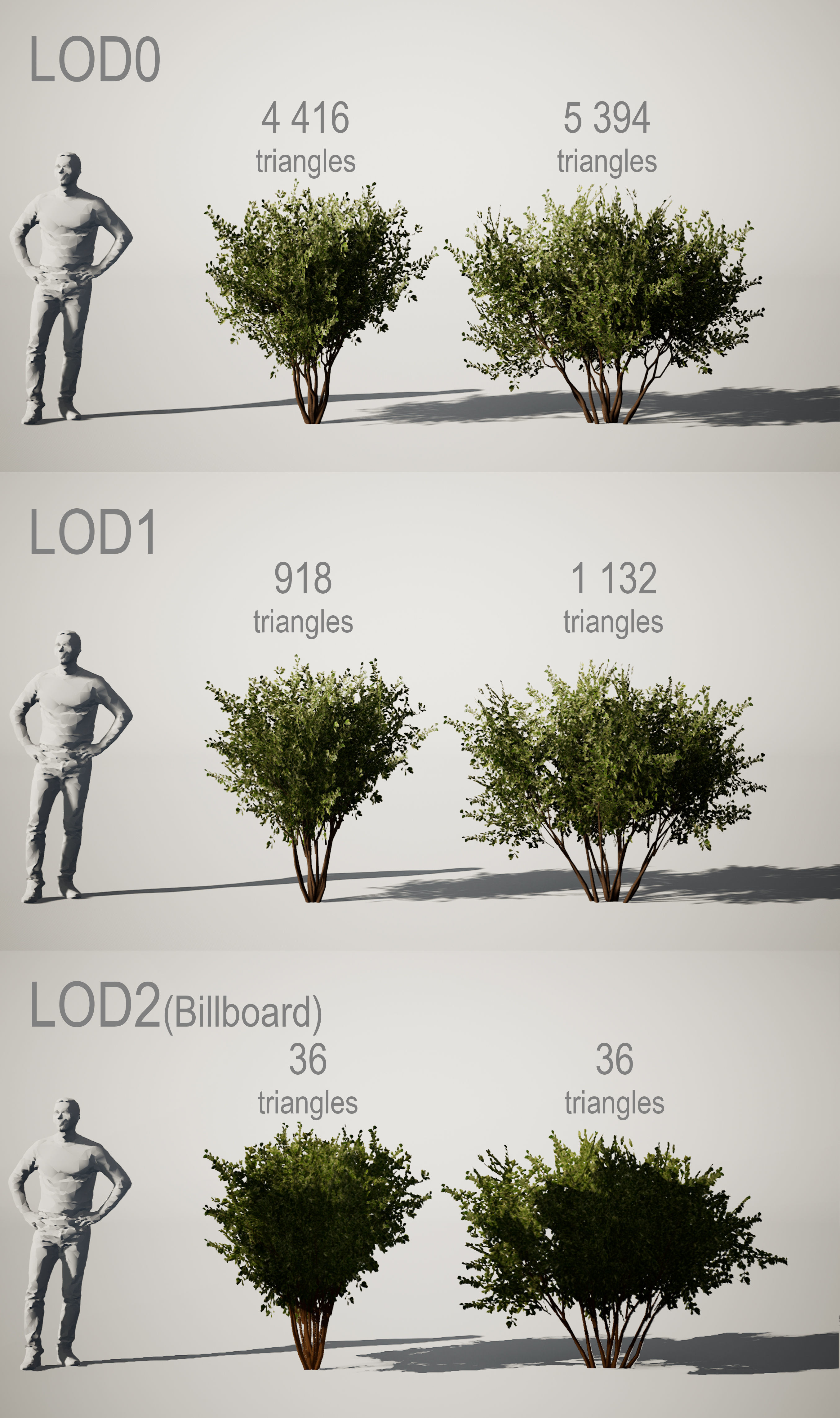 YarovoiPlantsPack plants and grasses Low-poly 3D model_3