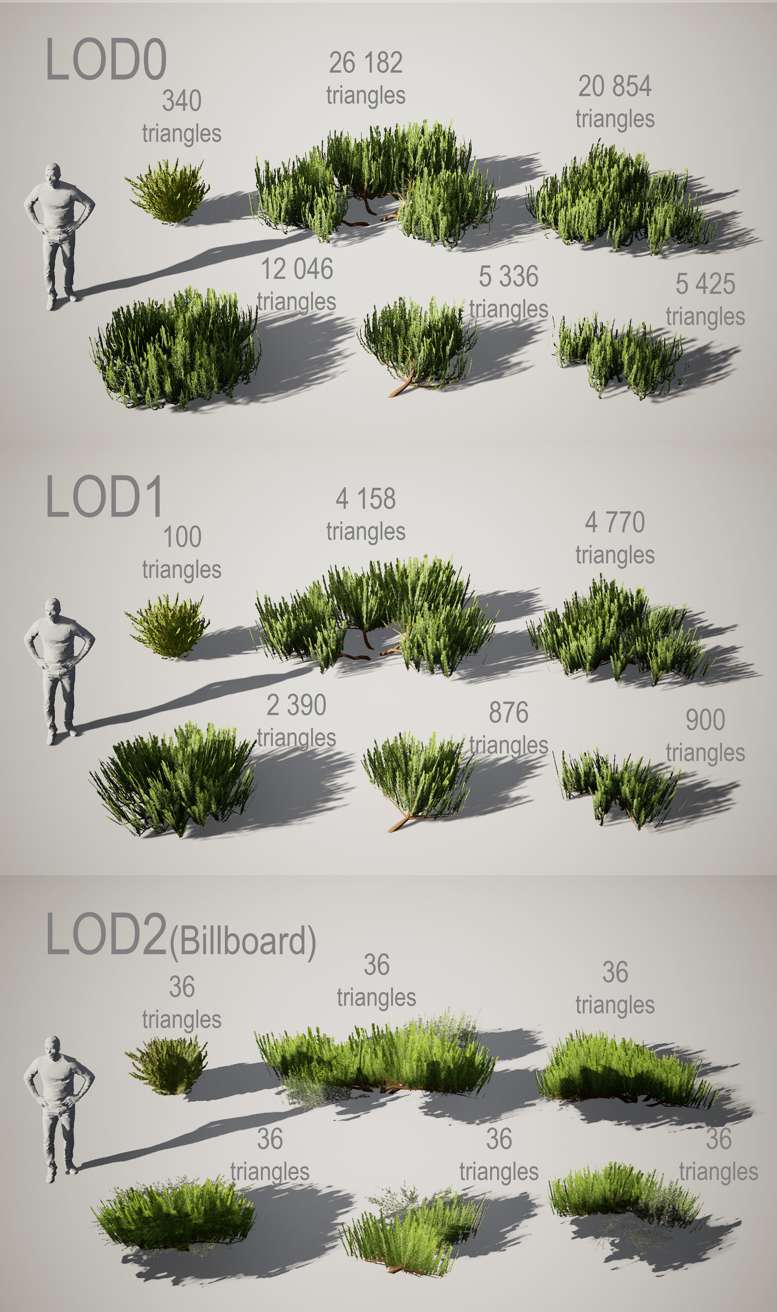 YarovoiPlantsPack plants and grasses Low-poly 3D model_8