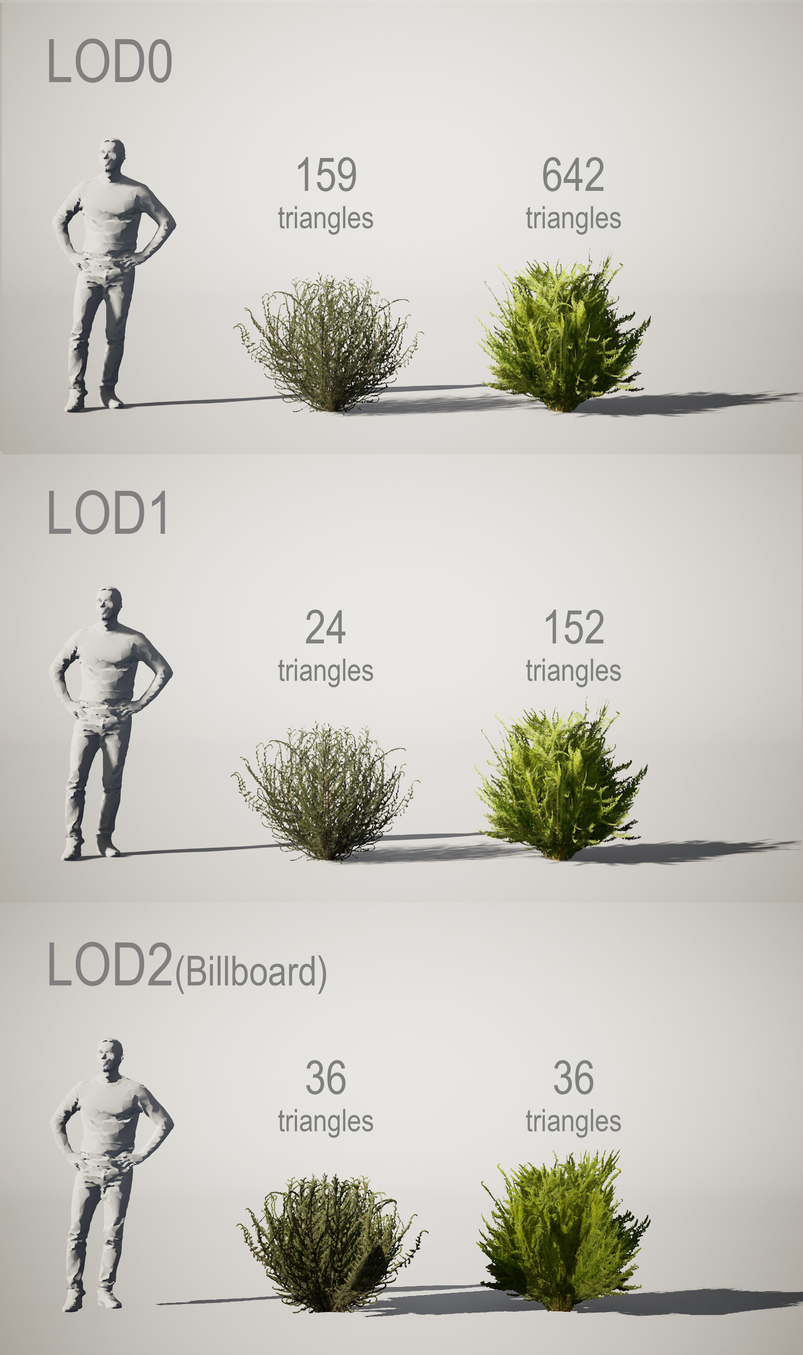 YarovoiPlantsPack plants and grasses Low-poly 3D model_21