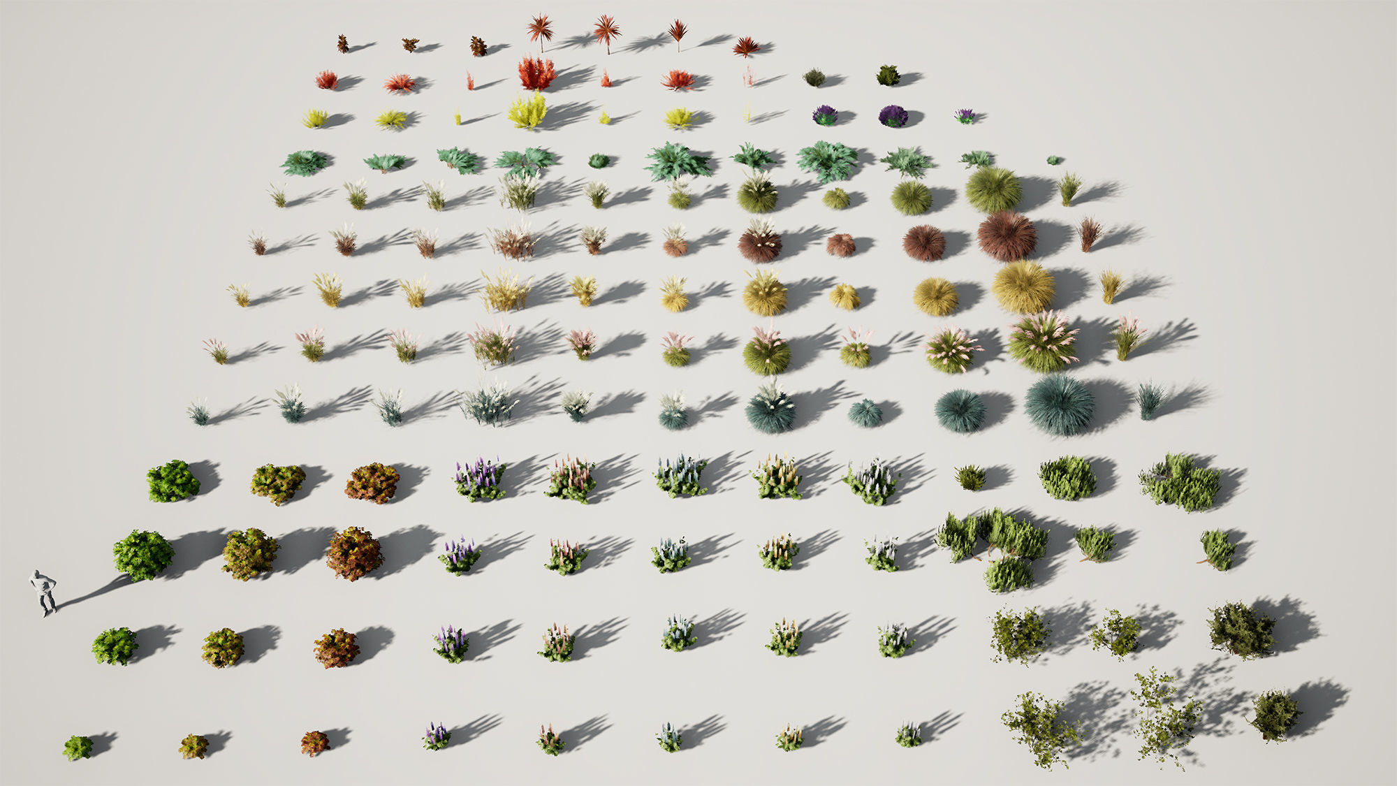 YarovoiPlantsPack plants and grasses Low-poly 3D model_1