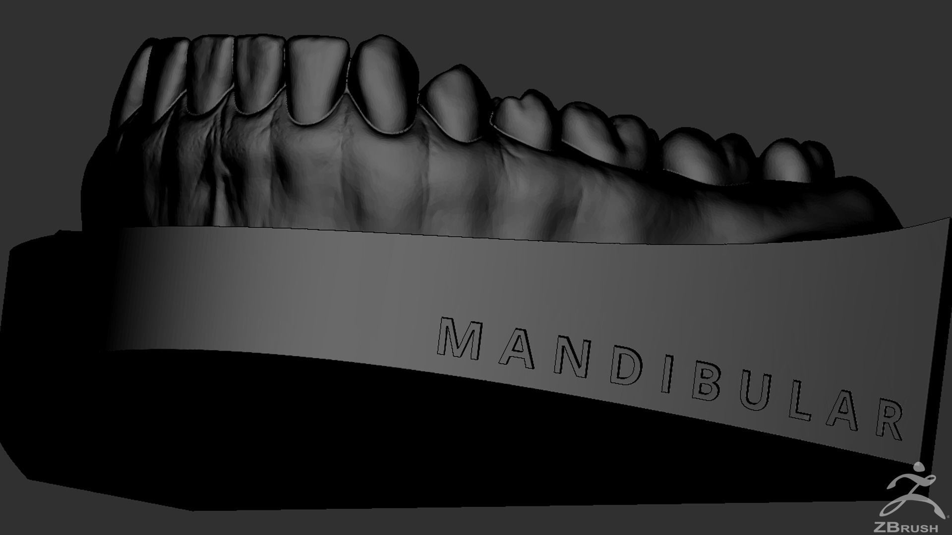 High Poly Mouth with teeth and gums 3D model_34