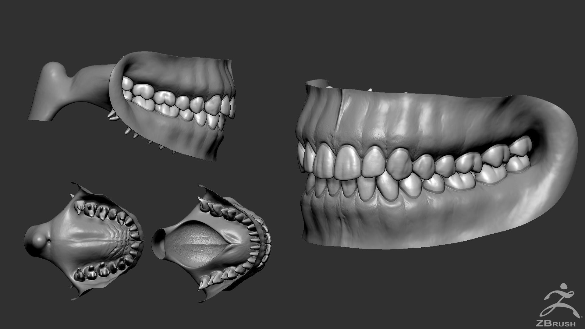 High Poly Mouth with teeth and gums 3D model_2