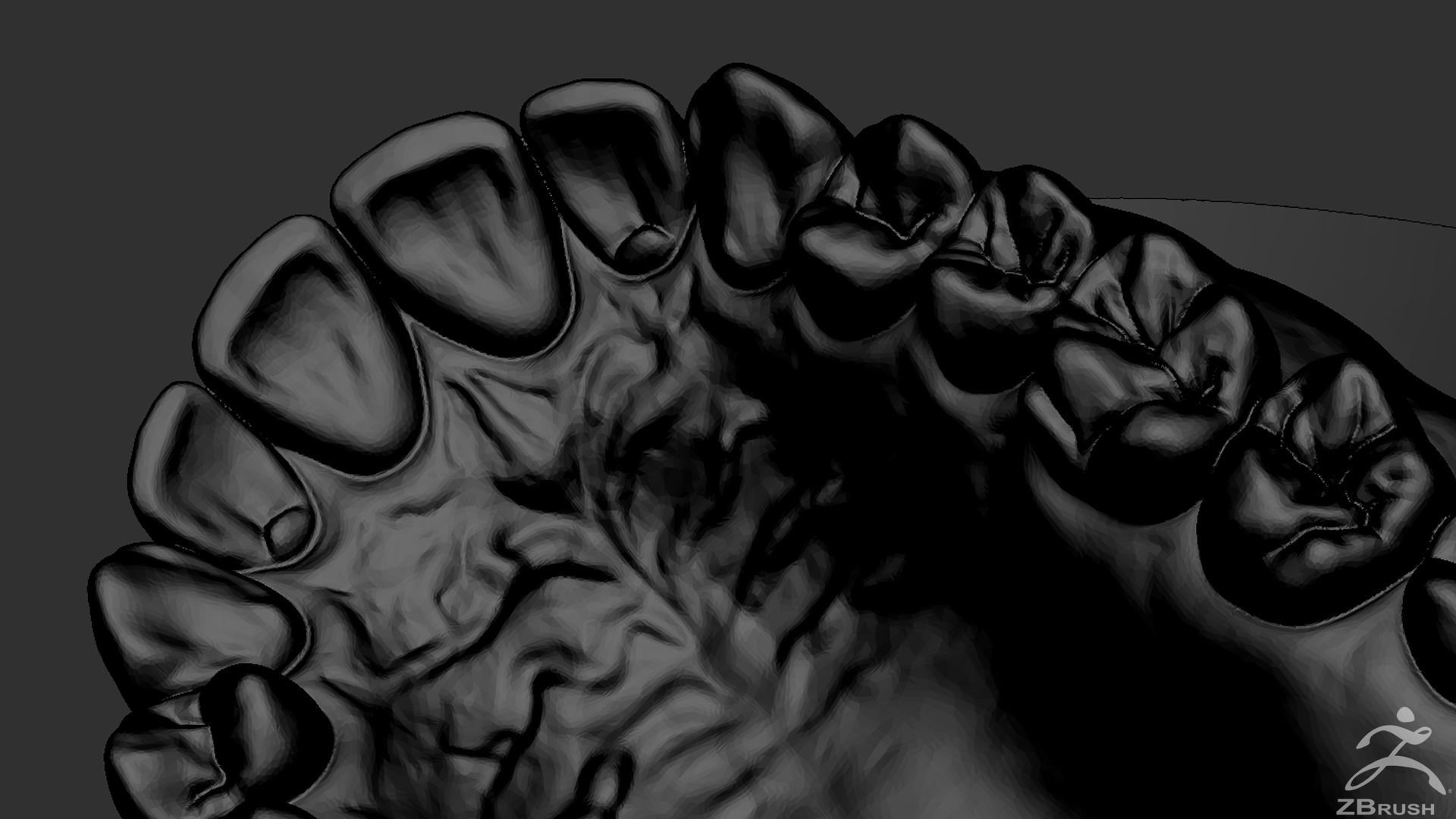 High Poly Mouth with teeth and gums 3D model_33