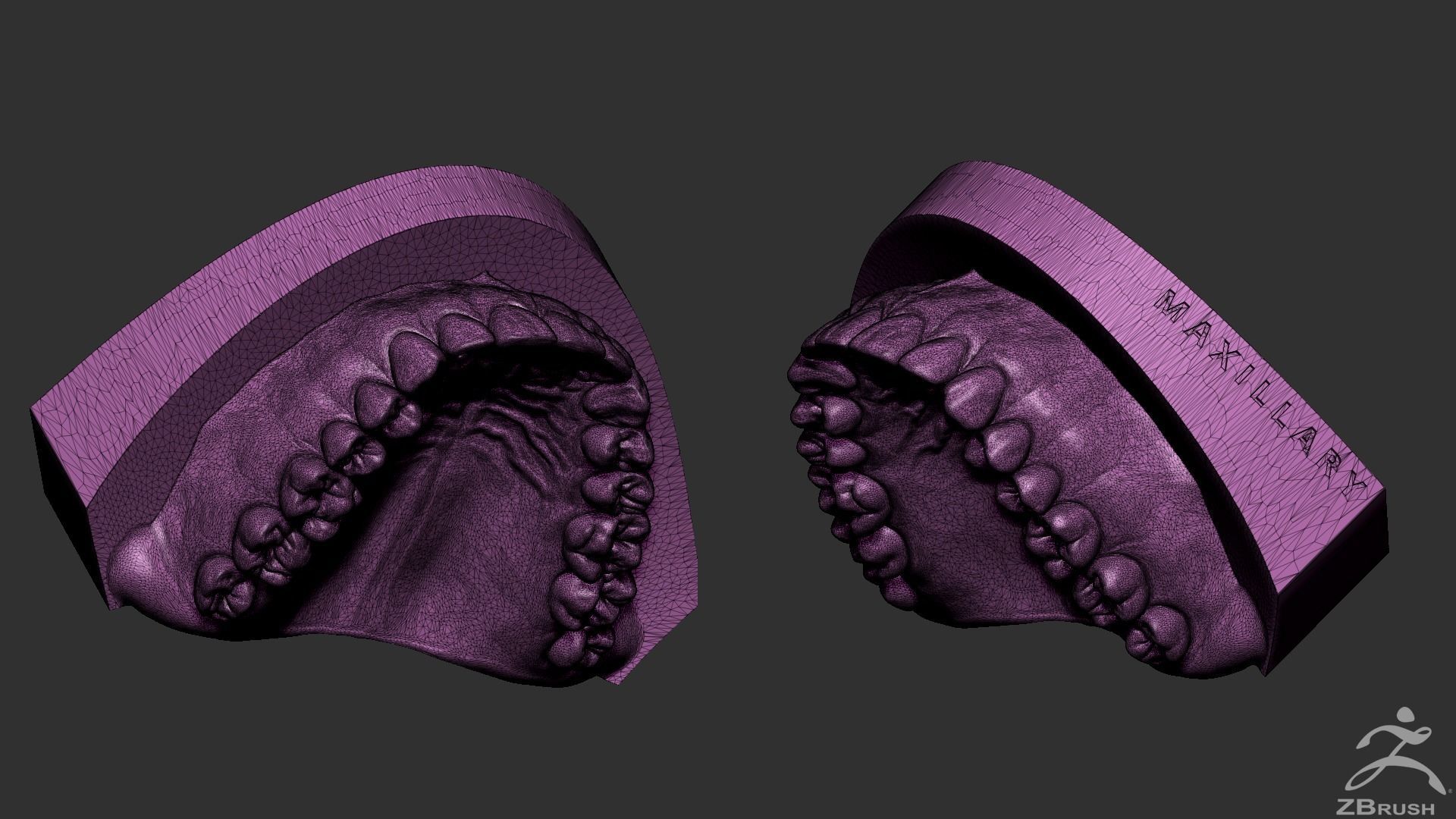 High Poly Mouth with teeth and gums 3D model_23