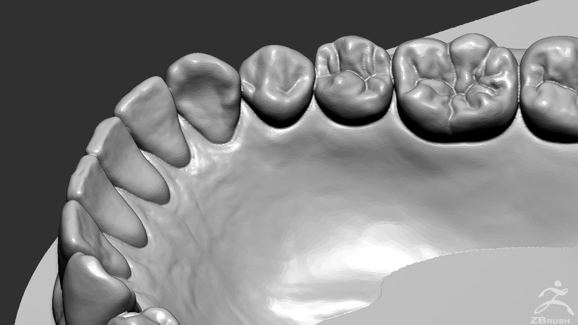 High Poly Mouth with teeth and gums 3D model_26