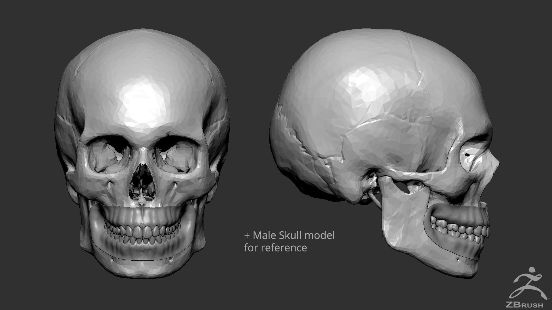 High Poly Mouth with teeth and gums 3D model_11