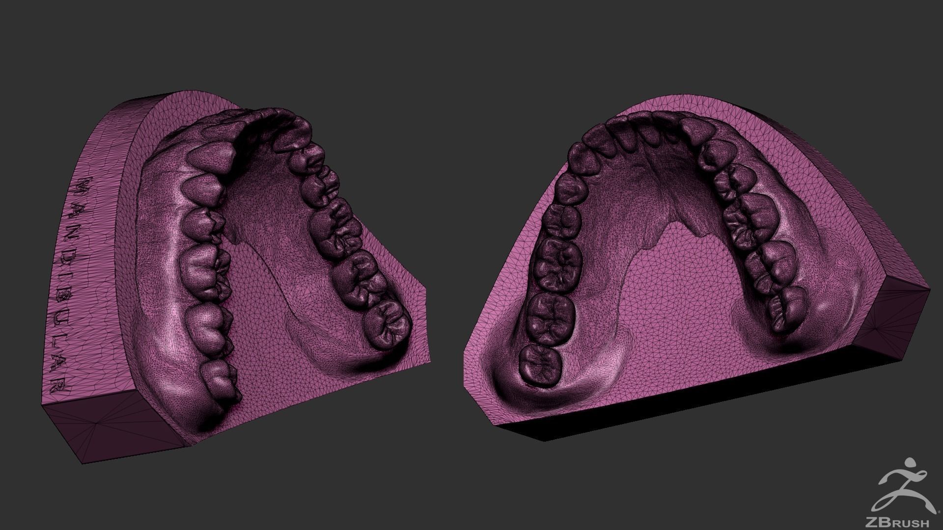 High Poly Mouth with teeth and gums 3D model_28