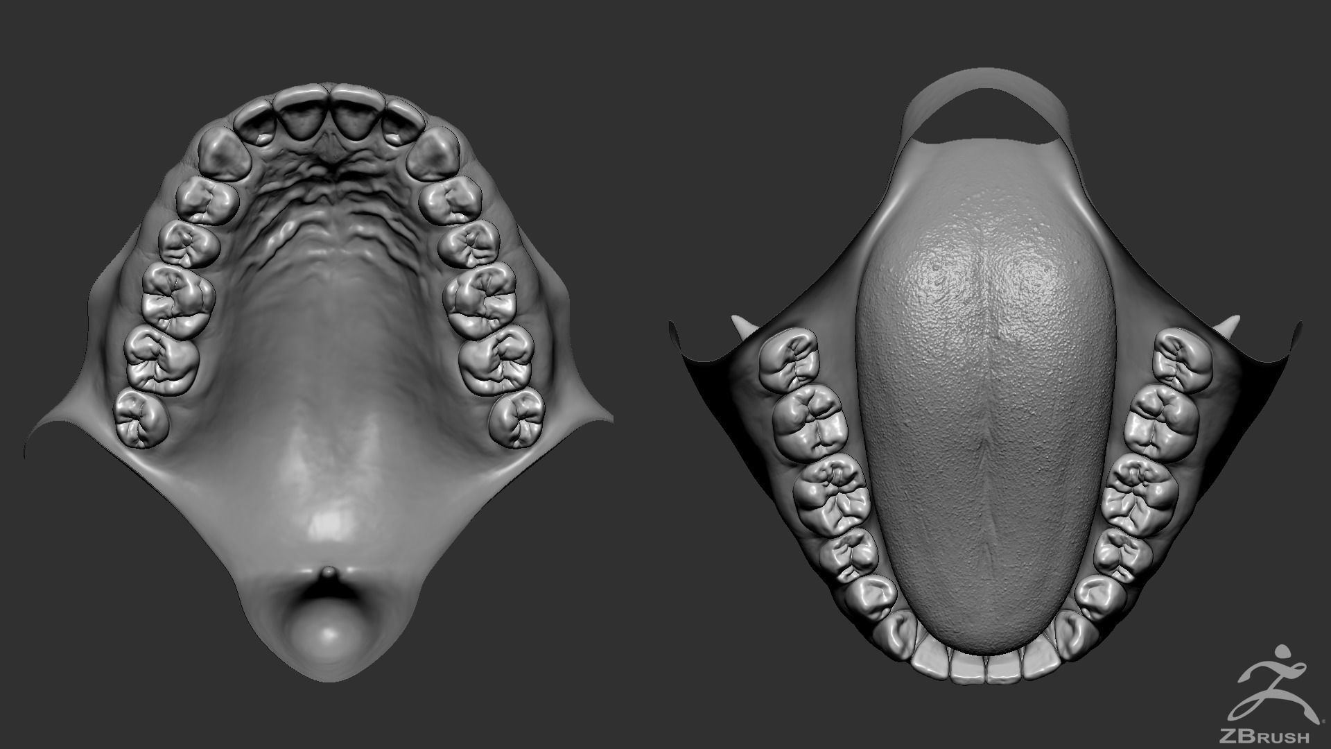 High Poly Mouth with teeth and gums 3D model_1