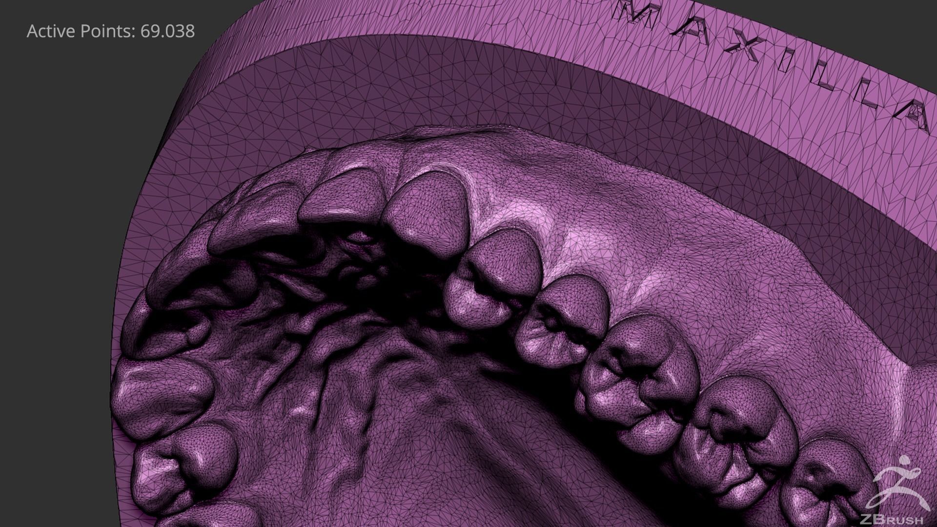 High Poly Mouth with teeth and gums 3D model_21