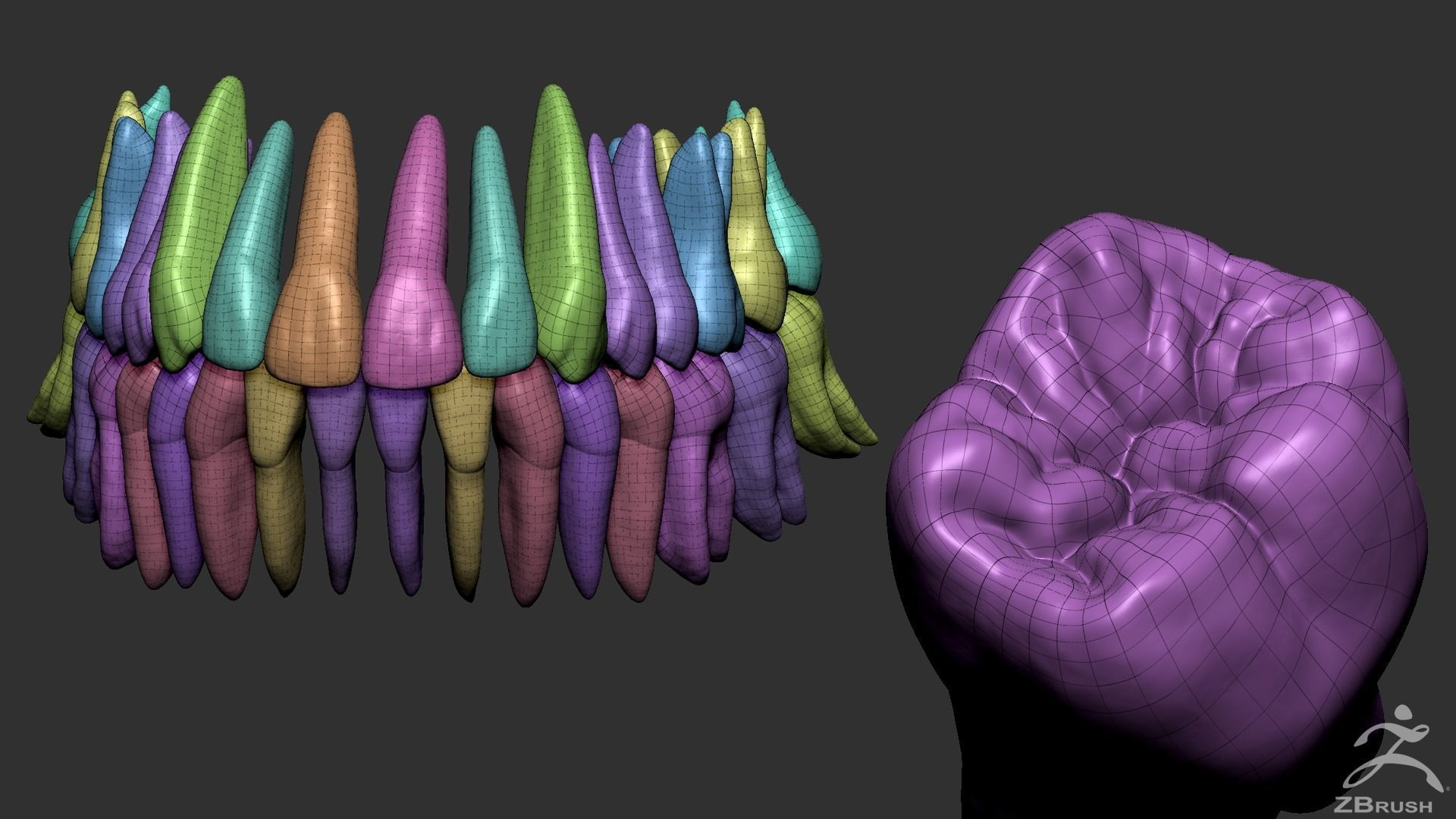 High Poly Mouth with teeth and gums 3D model_8