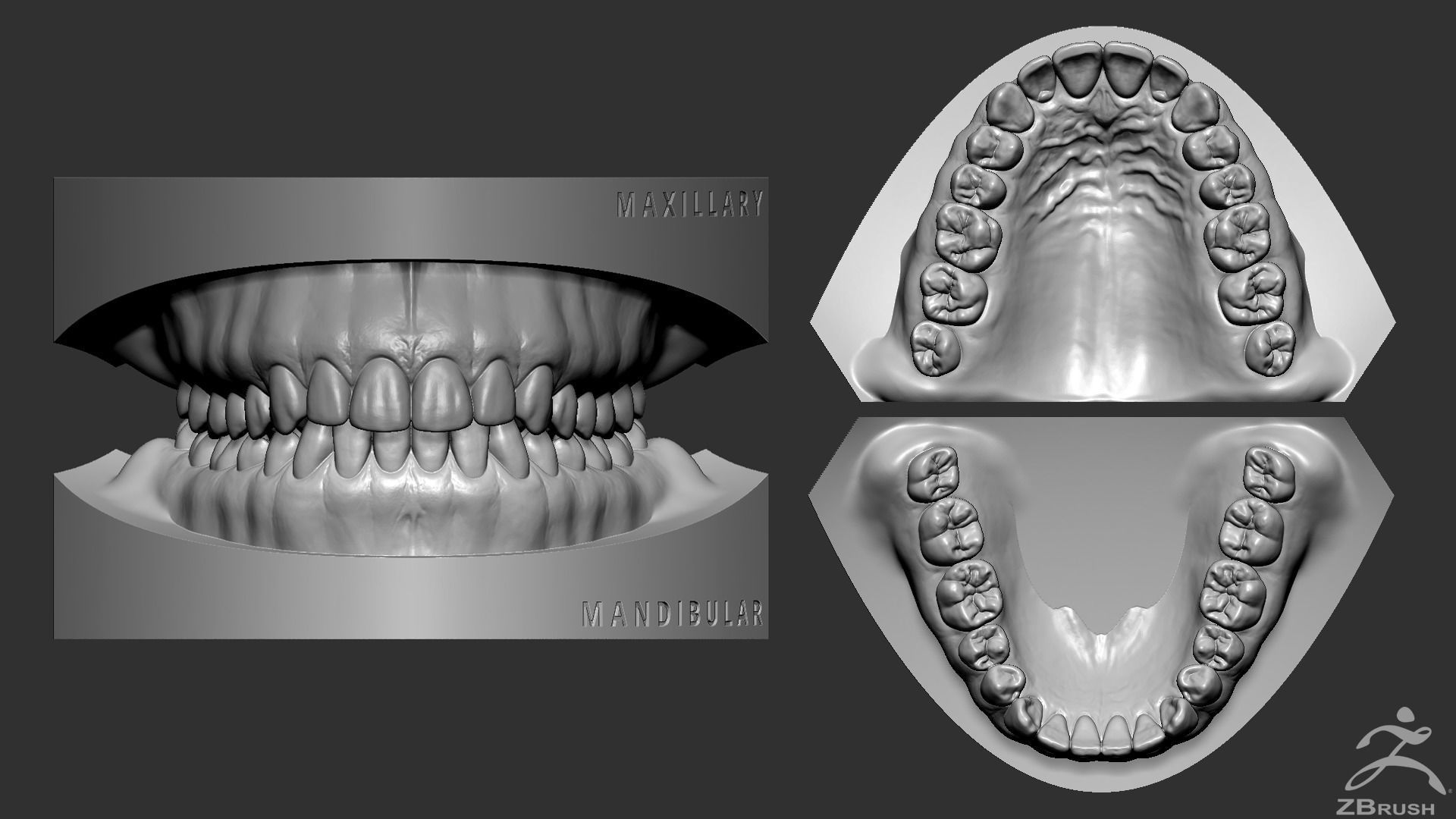 High Poly Mouth with teeth and gums 3D model_16