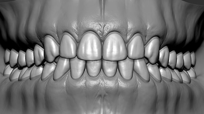 High Poly Mouth with teeth and gums 3D model