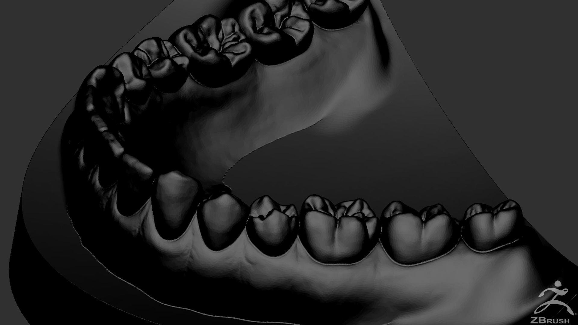 High Poly Mouth with teeth and gums 3D model_35