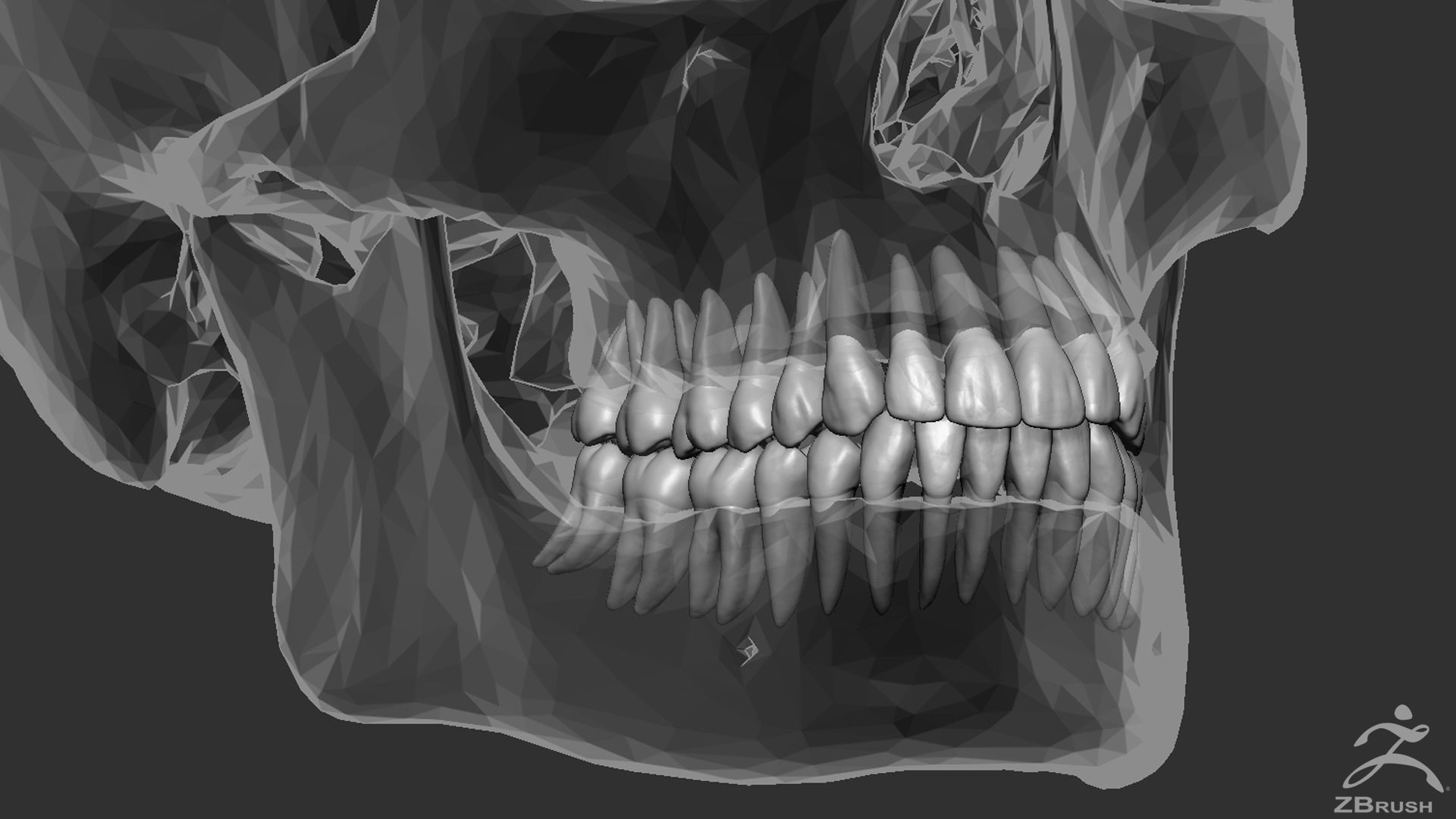 High Poly Mouth with teeth and gums 3D model_12