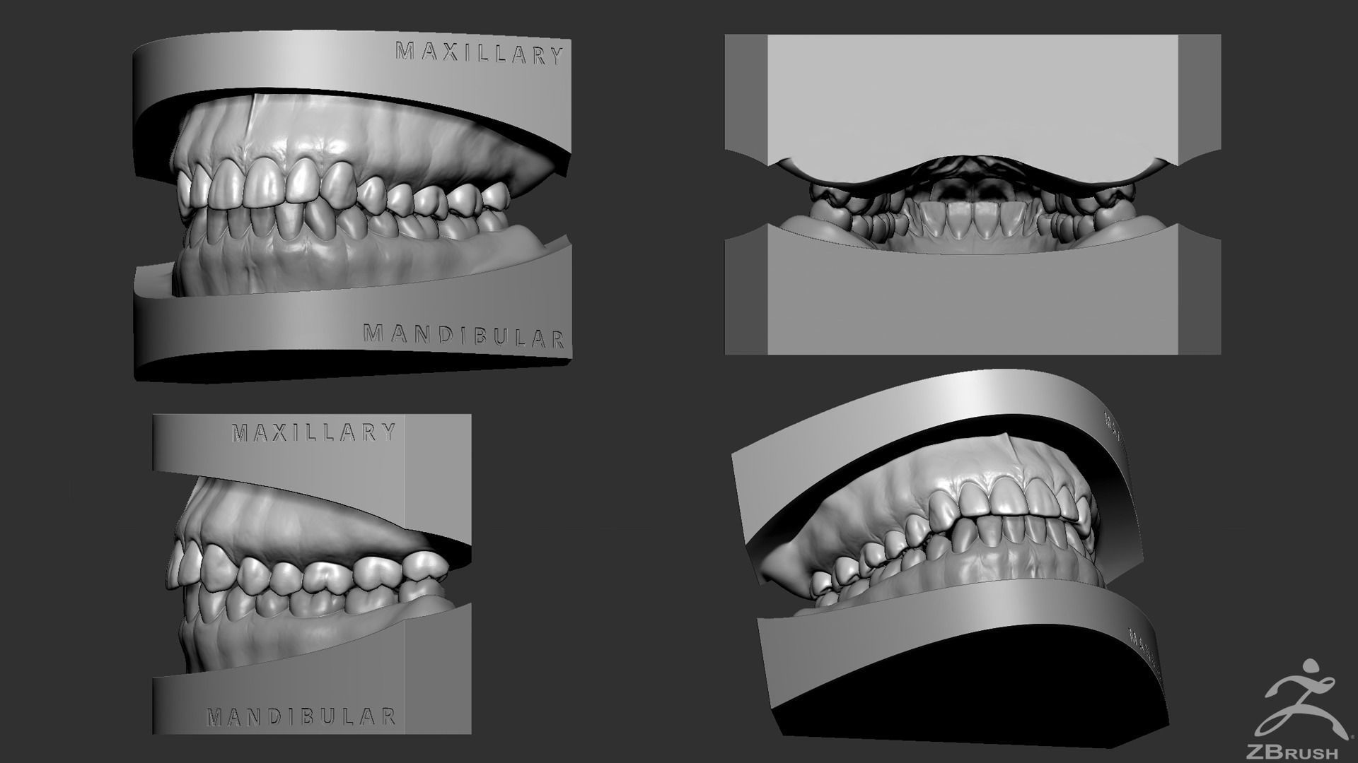 High Poly Mouth with teeth and gums 3D model_17