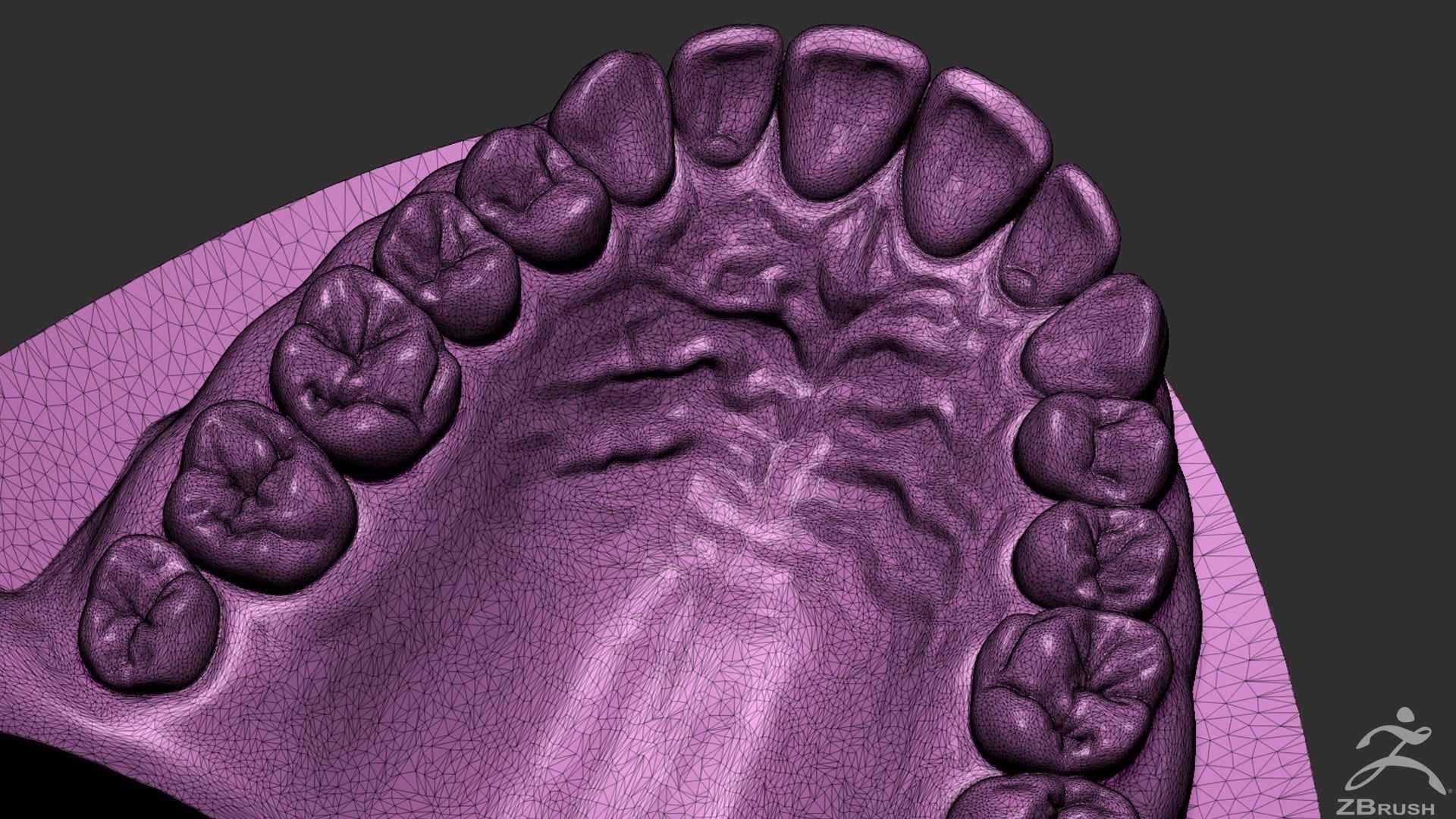 High Poly Mouth with teeth and gums 3D model_22
