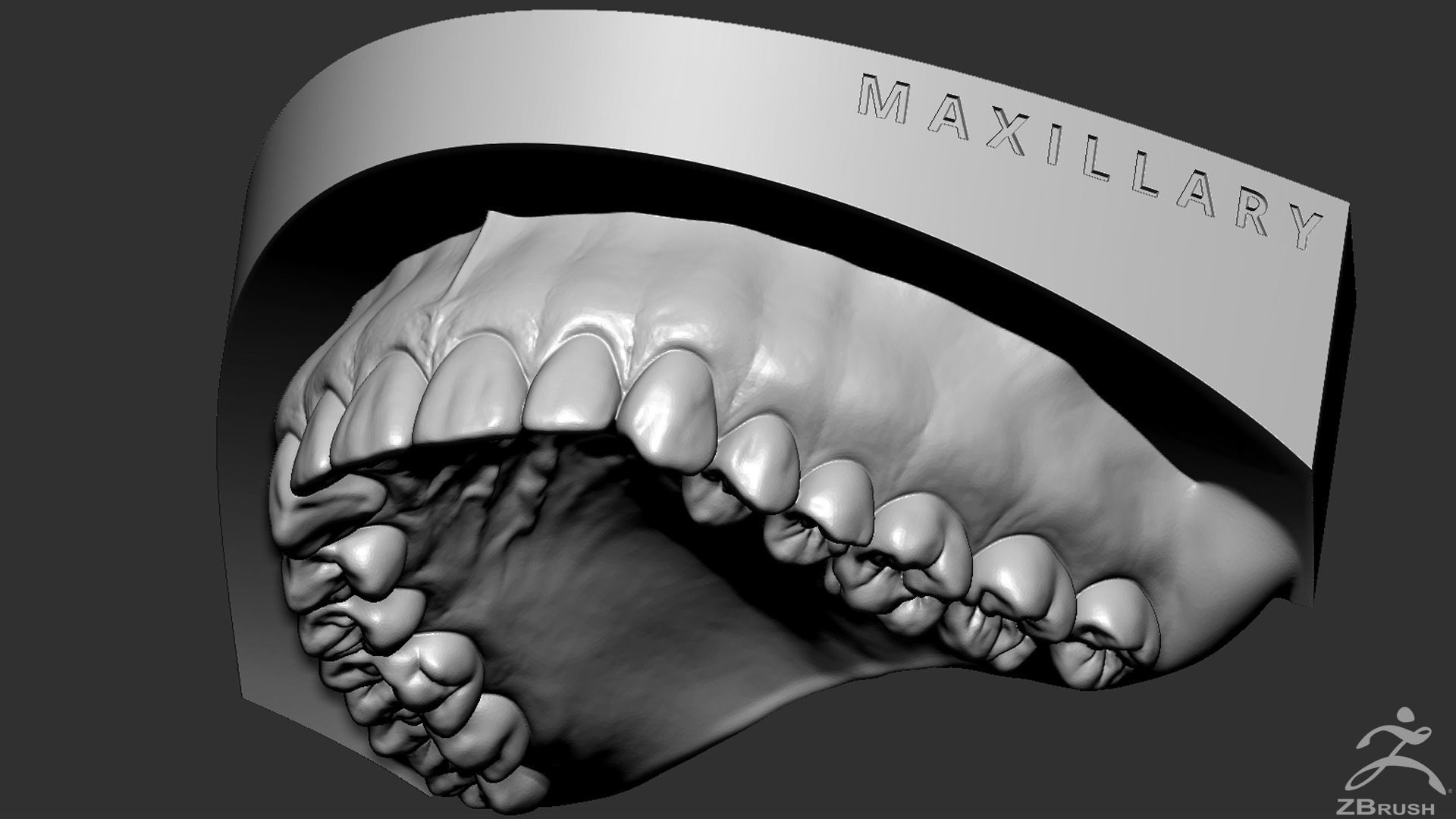 High Poly Mouth with teeth and gums 3D model_18