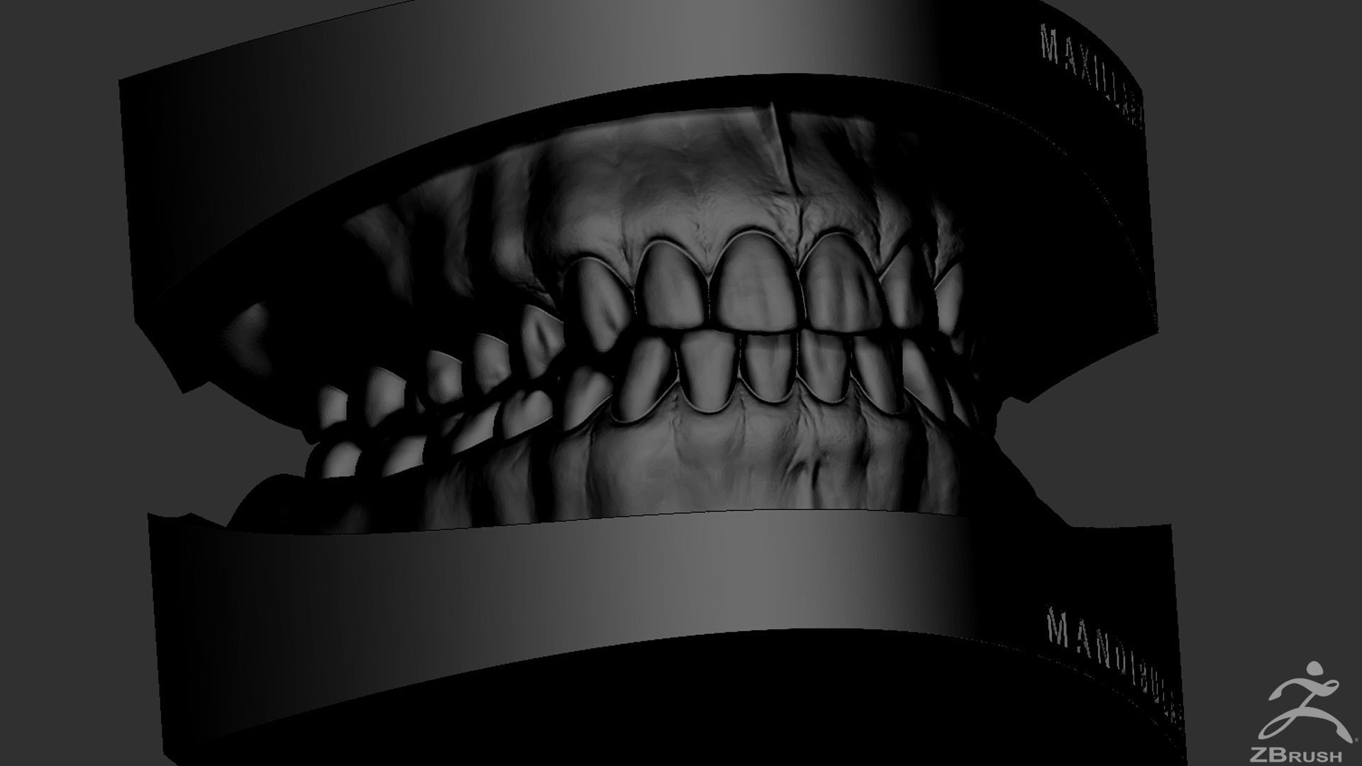 High Poly Mouth with teeth and gums 3D model_31