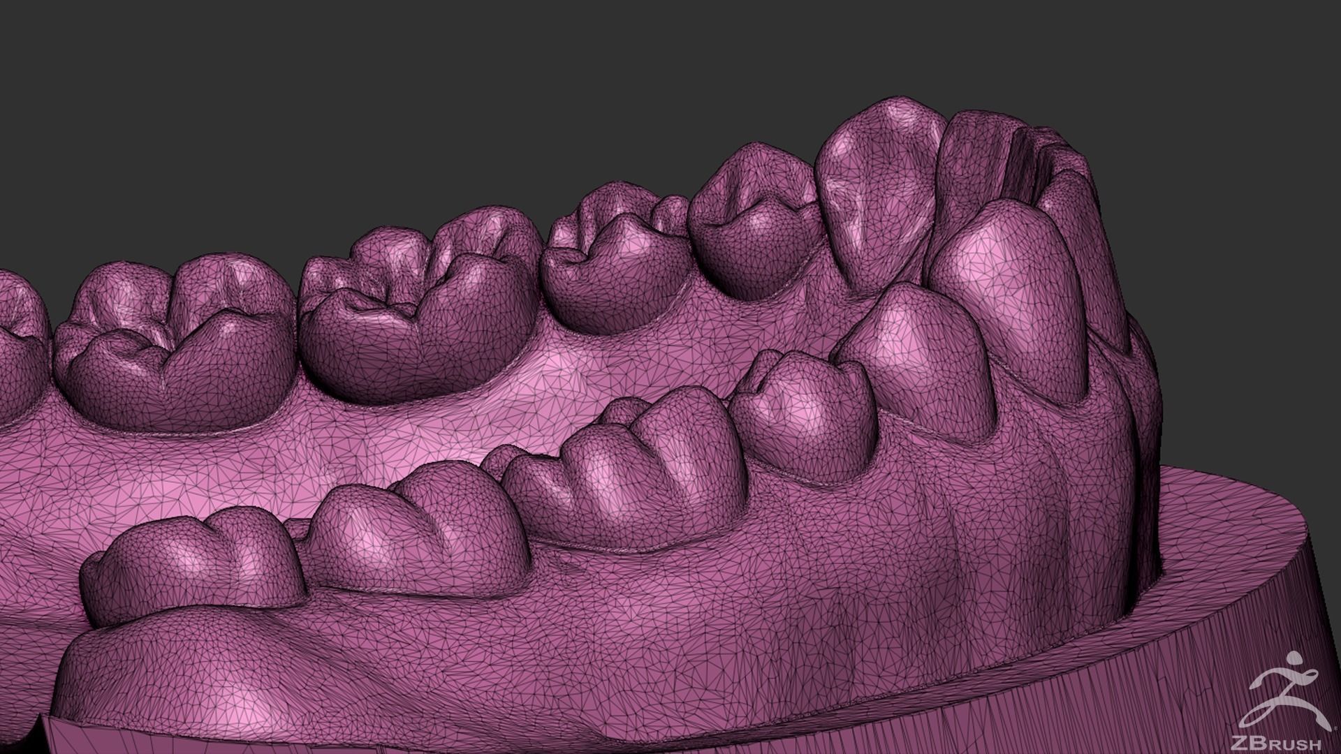High Poly Mouth with teeth and gums 3D model_29
