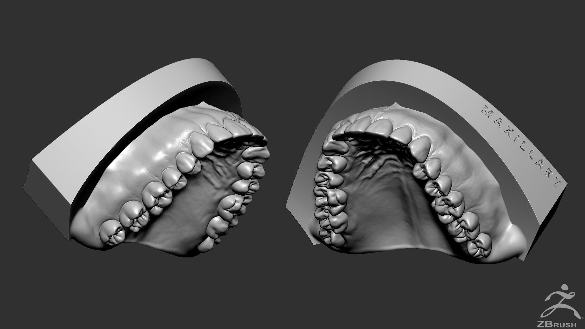 High Poly Mouth with teeth and gums 3D model_19