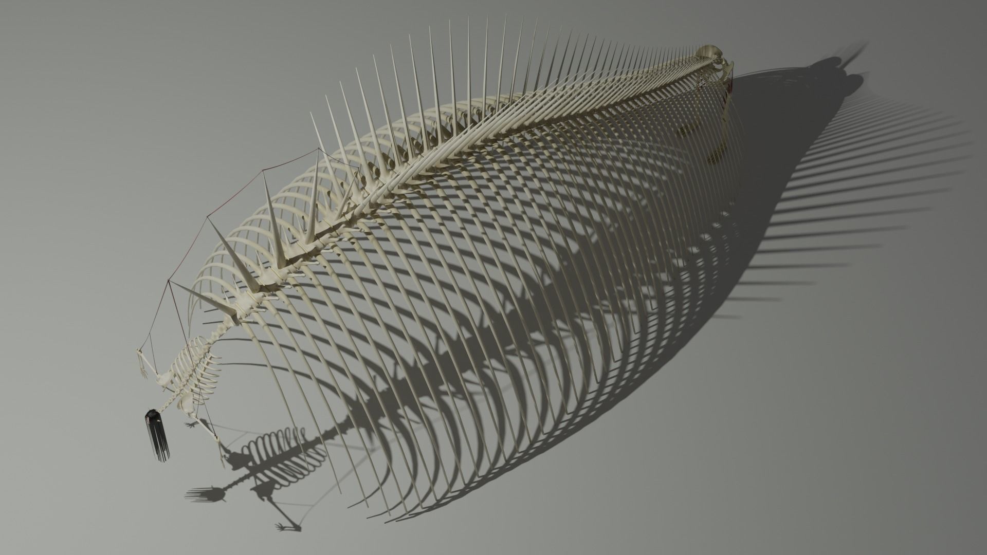 Eren Founding Titan 3D Model - Attack on Titan 3D model_3