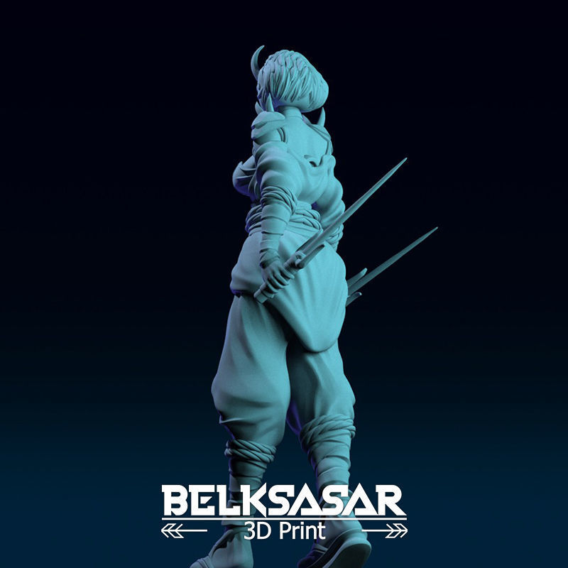 Ninja Girl Normal and Nude 3D print model_34