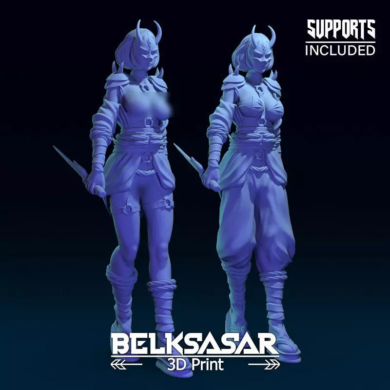Ninja Girl Normal and Nude 3D print model_0