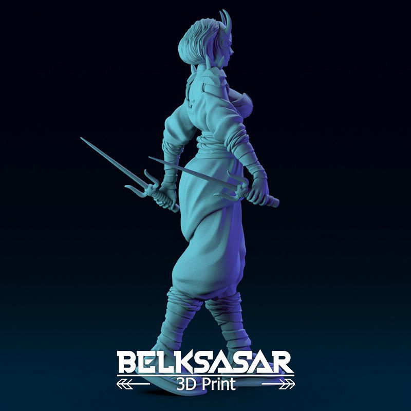 Ninja Girl Normal and Nude 3D print model_9