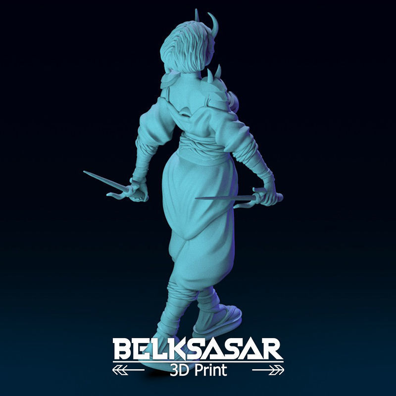 Ninja Girl Normal and Nude 3D print model_28