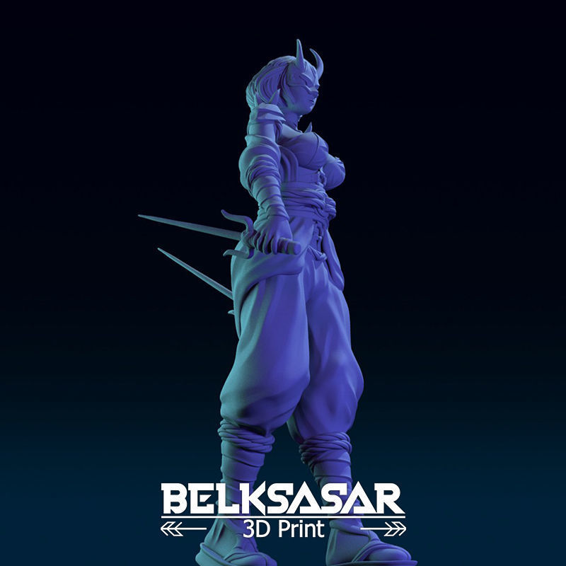 Ninja Girl Normal and Nude 3D print model_32