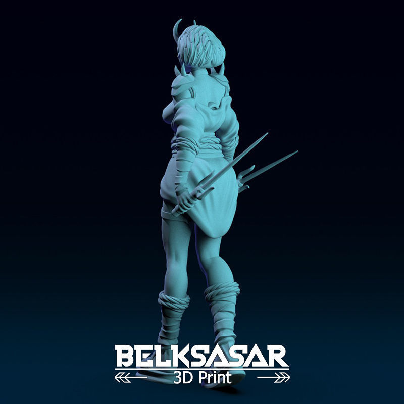 Ninja Girl Normal and Nude 3D print model_7