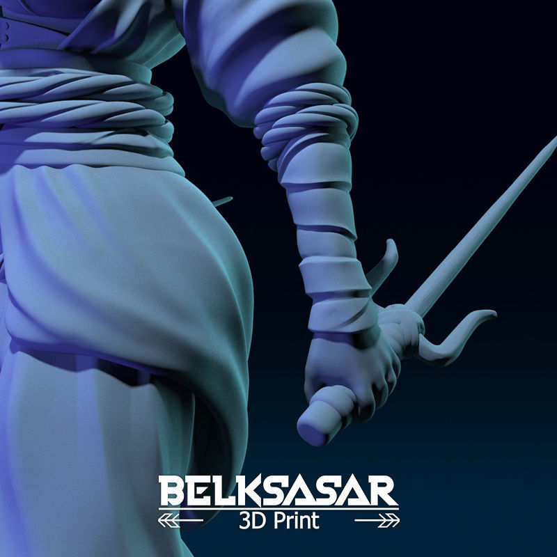 Ninja Girl Normal and Nude 3D print model_20