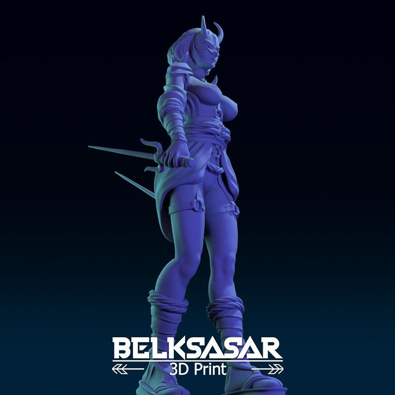 Ninja Girl Normal and Nude 3D print model_35