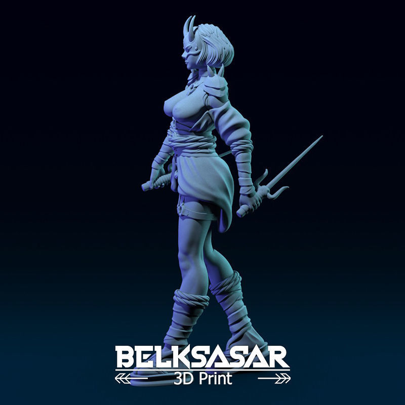 Ninja Girl Normal and Nude 3D print model_5