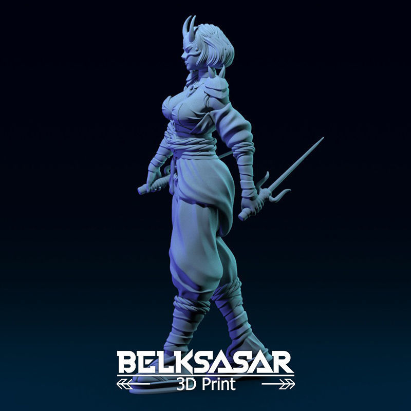 Ninja Girl Normal and Nude 3D print model_4