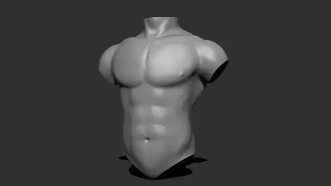 Male torso 3D model 