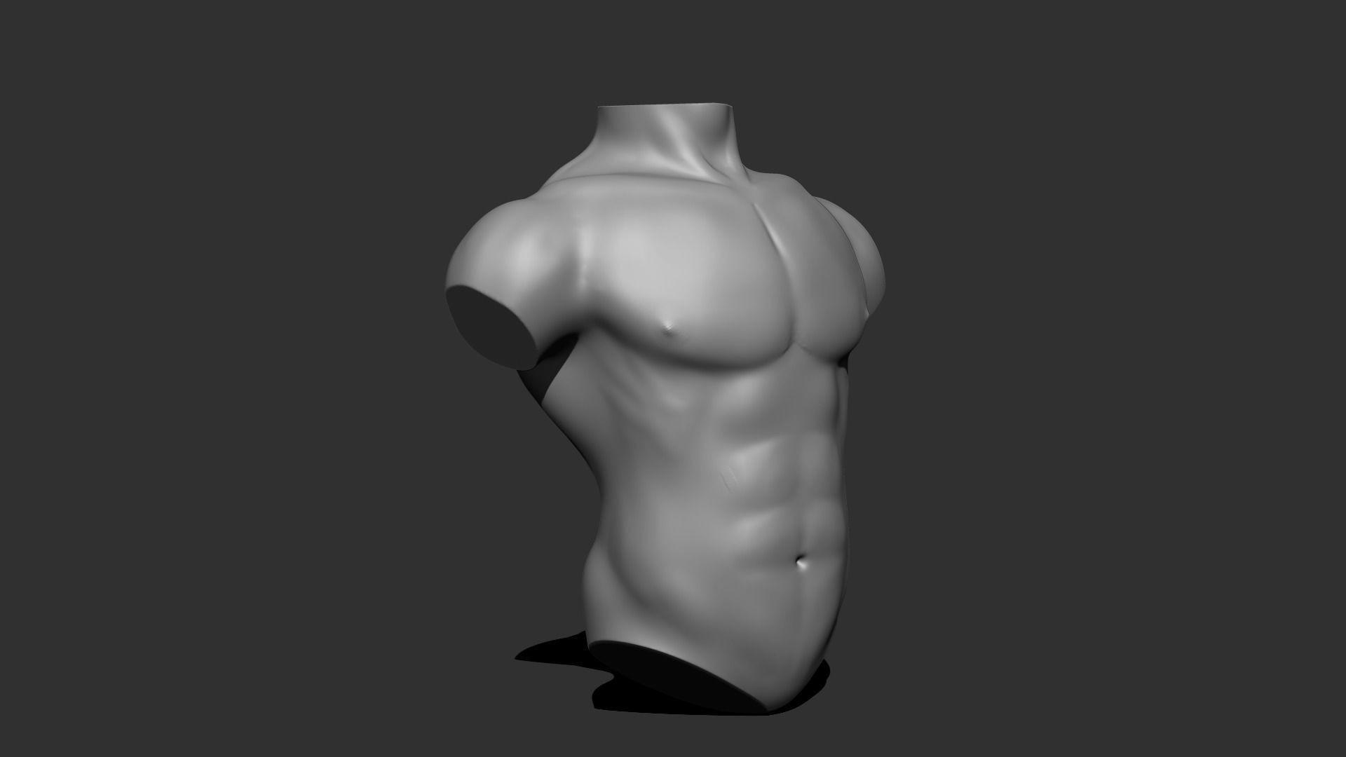 Male torso 3D model  3D model_4