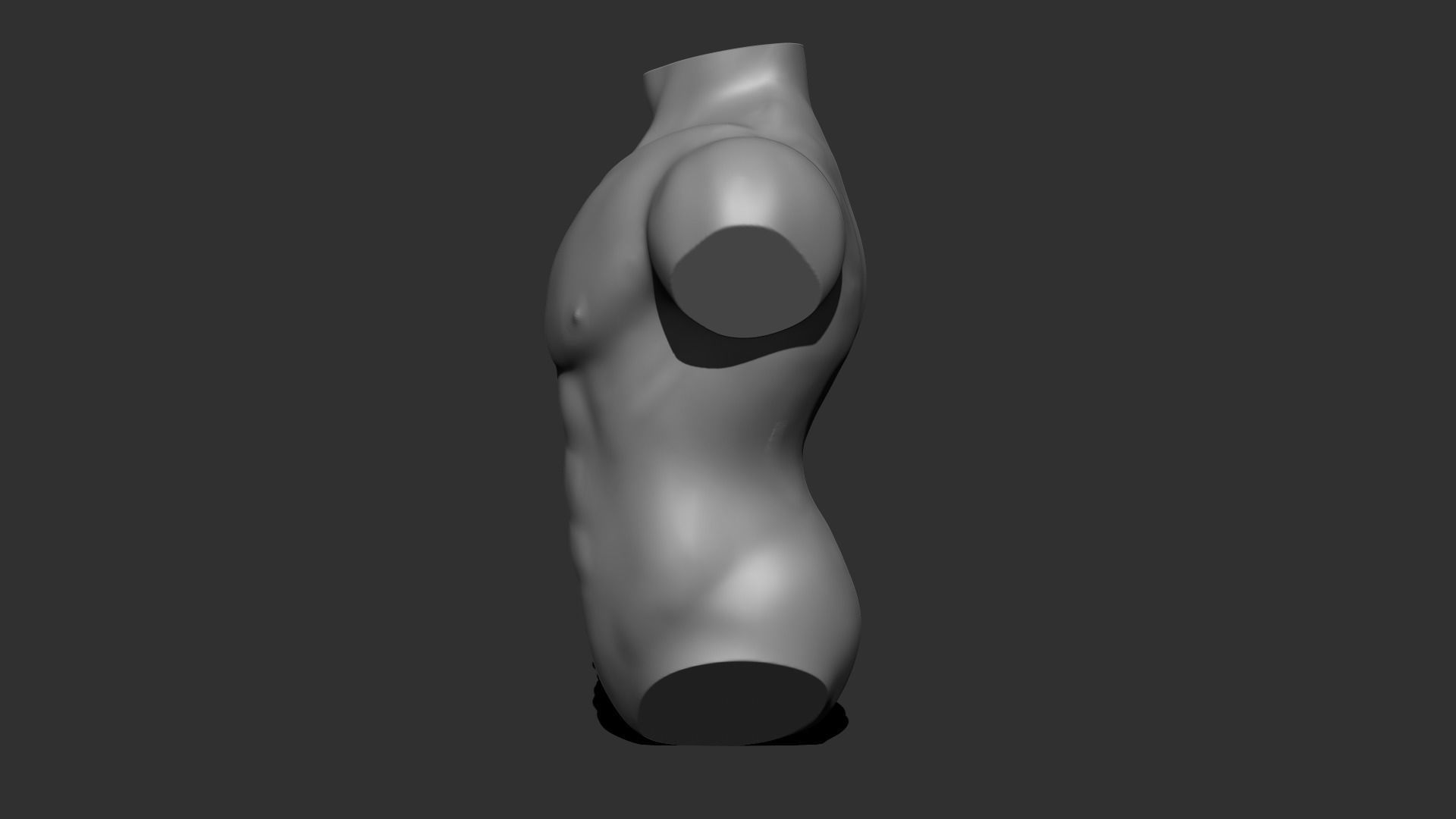 Male torso 3D model  3D model_3
