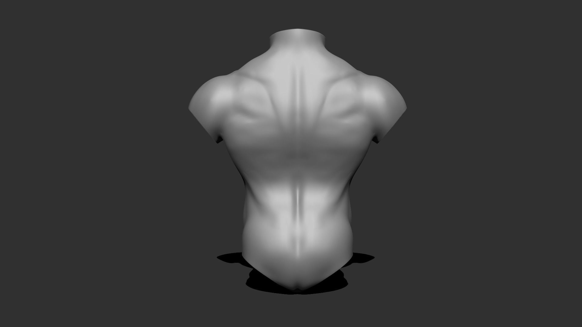 Male torso 3D model  3D model_1