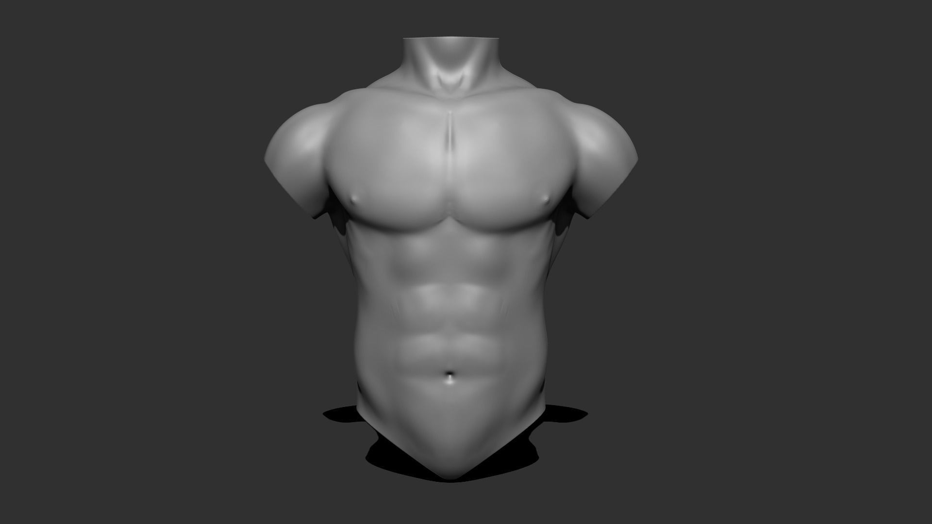 Male torso 3D model  3D model_2