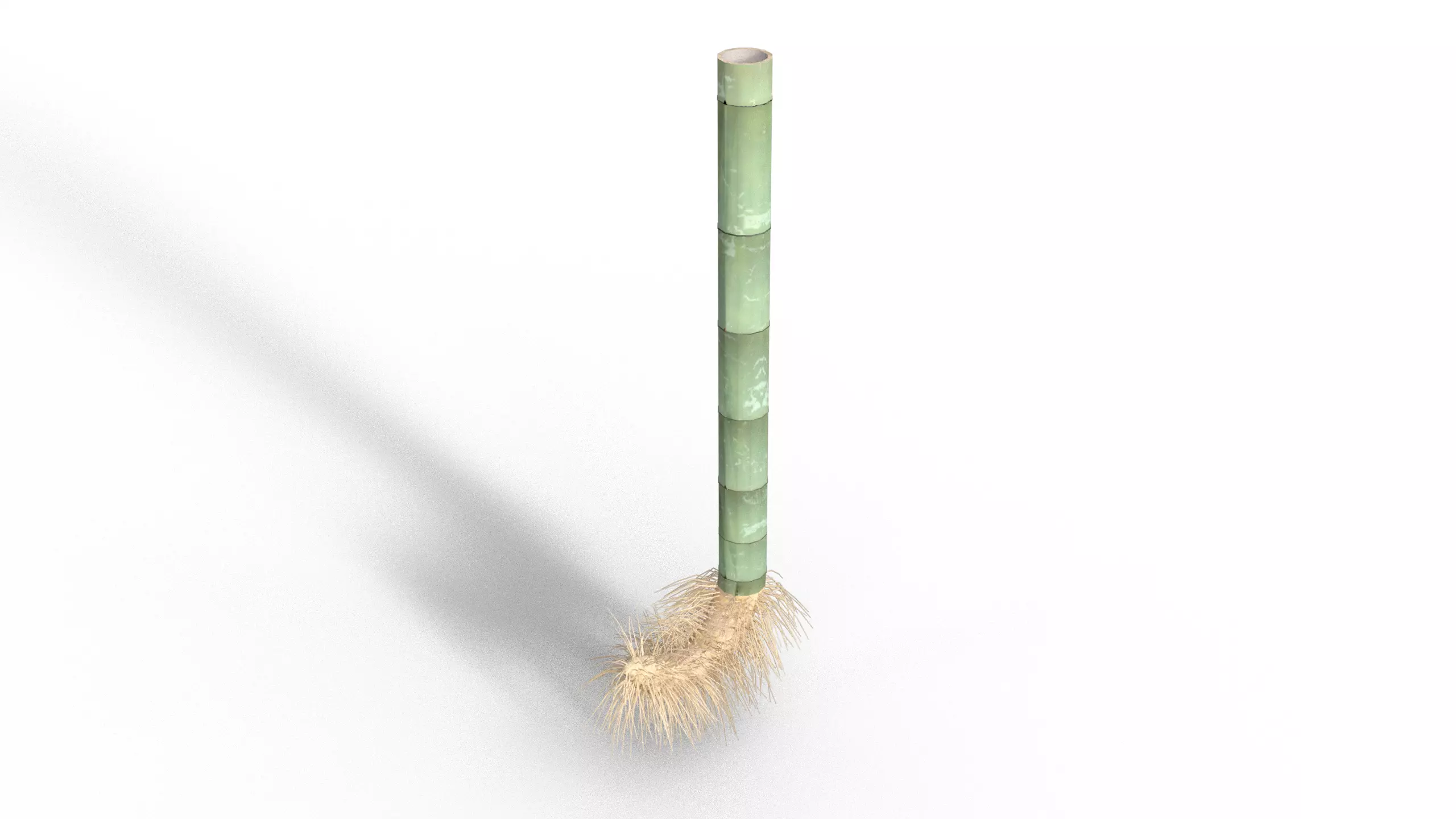 Bamboo Cut Free 3D model