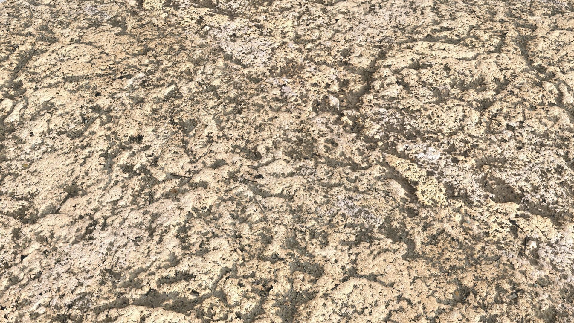 Rough Terrain PBR 6 Texture_6