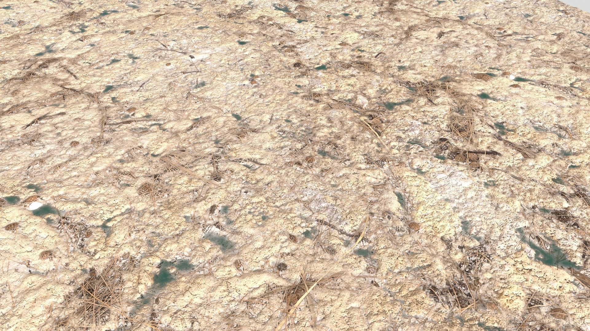 Rough Terrain PBR 6 Texture_18