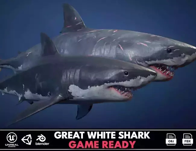 Great White Shark - Game Ready Low-poly 3D model